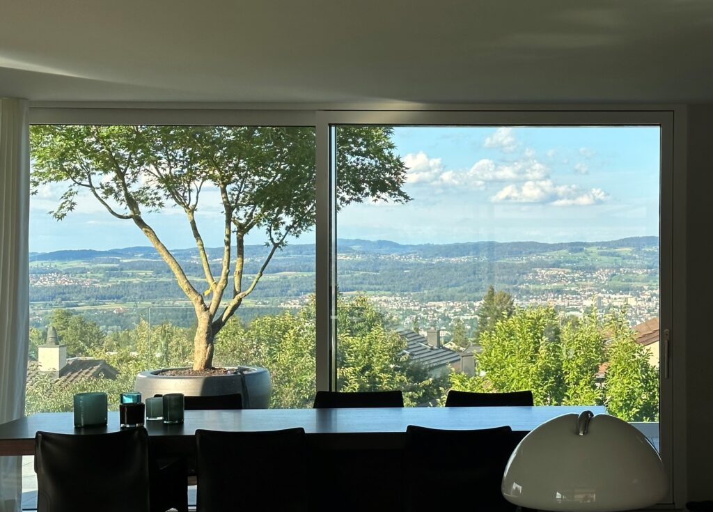 Ausblick aus dem Wohnraum mit Schattenbaum auf Terrssen