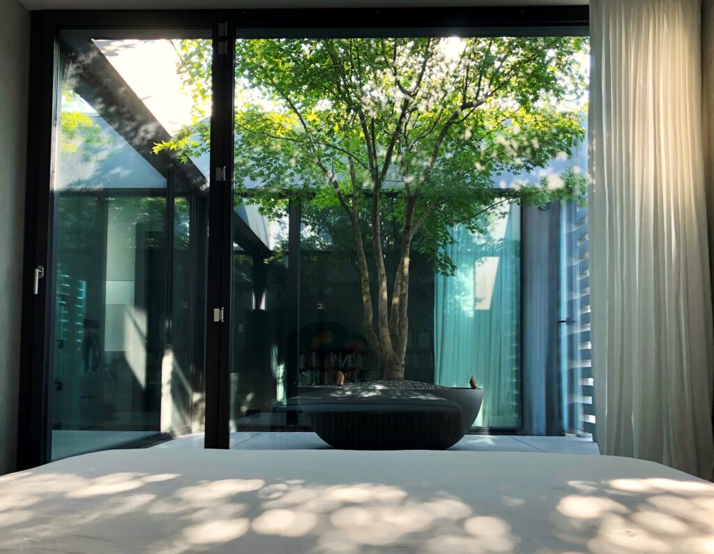 Schattenbaum auf Terrasse - Beschattung Atrium