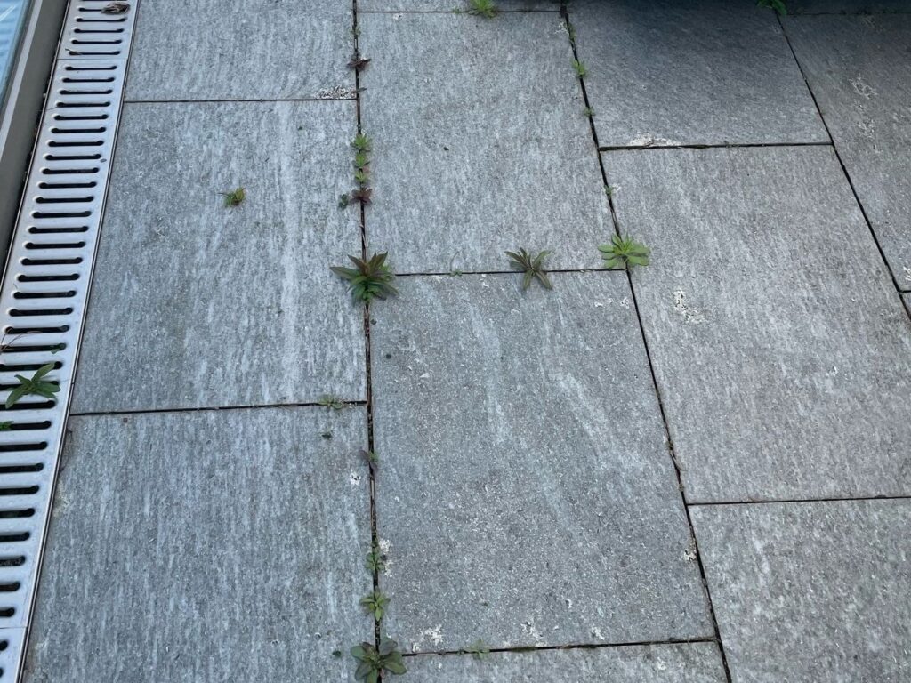 Terrassenbelag mit Unkraut in den Fugen