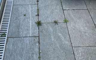 Terrassenbelag mit Unkraut in den Fugen