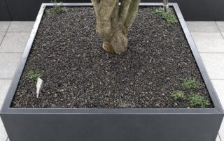 Grosser Pflanztrog aus Aluminium mit Ahorn-Schattenbaum in Langzeit-Erde