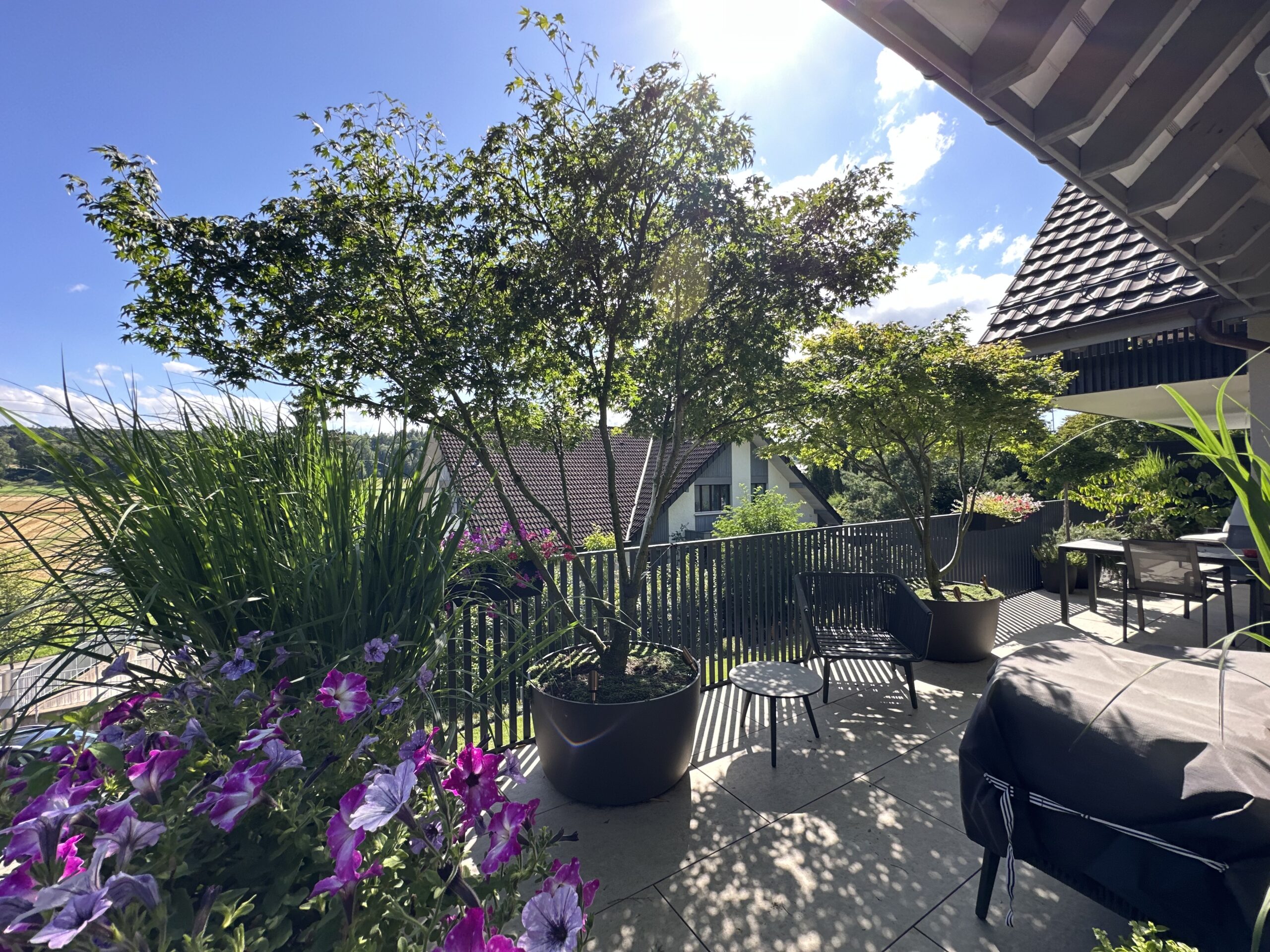 Terrassenbepflanzung mit grossen Schattenbäumen