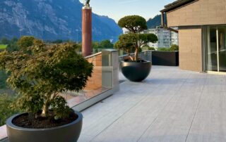 Bodenbelag Terrasse aus Feinsteinzeug mit kleinem Ahorn und Grossbonsai