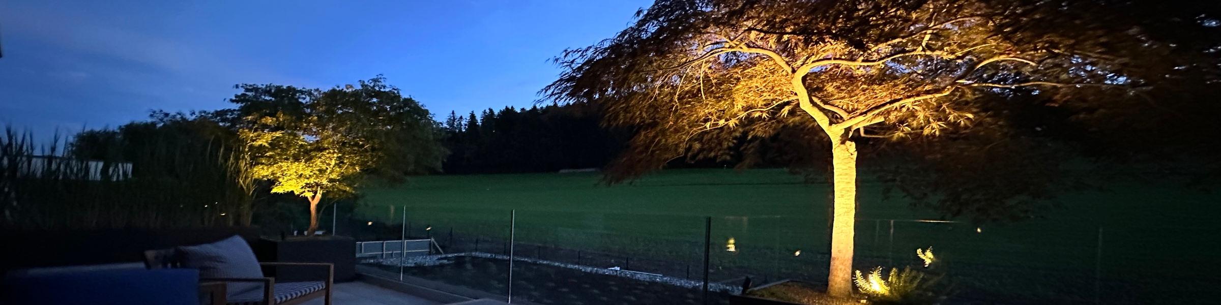 Beleuchtung - Acer palmatum auf Terrasse mit Warmlicht-LEDs beleuchtet