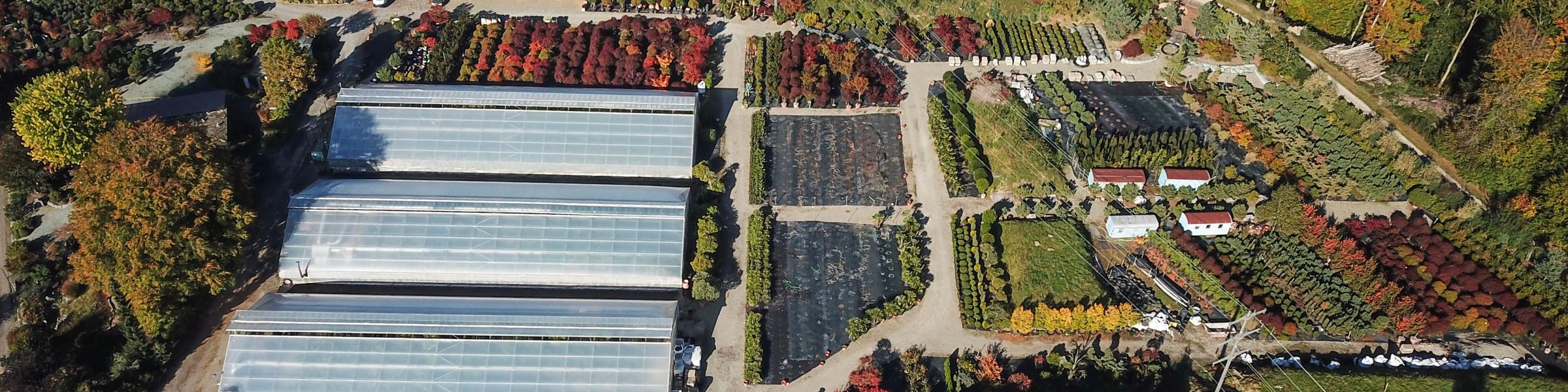 Silvedes AG Brütten Baumschule aus der Vogelperspektive